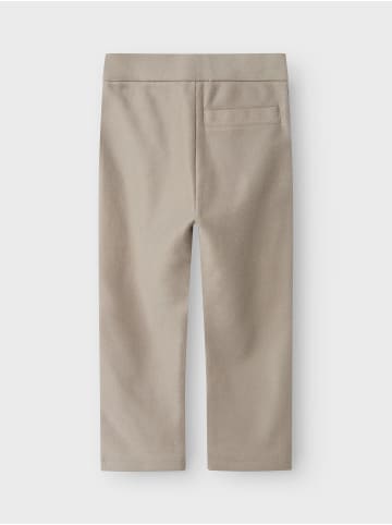 name it Hose in Mourning Dove