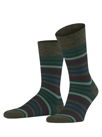 Falke Socken Tinted Stripe in Wald