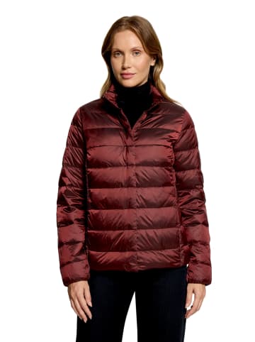 Betty Barclay Daunen-Steppjacke mit Stehkragen in dunkelrot