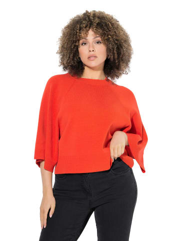Ulla Popken Pullover in paprikarot