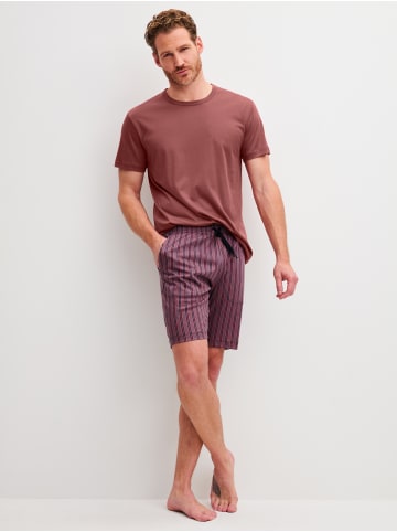 Calida Bermudas in sparrow brown