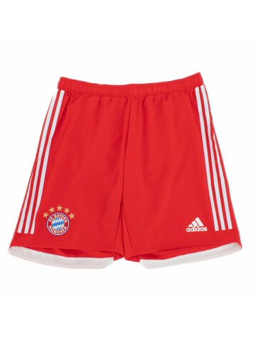 adidas Shorts FCB FC Bayern München Authentic Player Edition in Rot