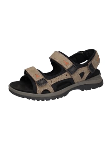 WALDLÄUFER Trekkingsandalen in Braun