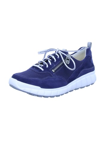 Ganter Schnürschuhe EVO in navy