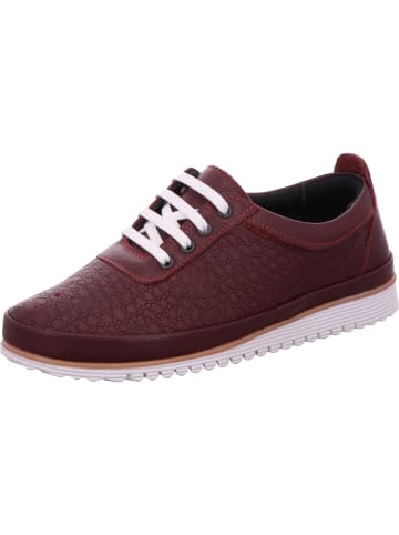 Diverse  Sneaker in bordeaux