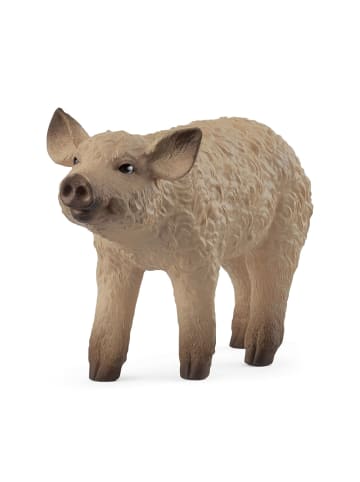 Schleich Wollschwein Ferkel in Mehrfarbig ab 3 Jahre