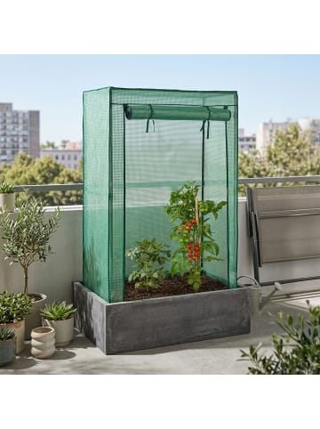 relaxdays Tomatengewächshaus in Grün - (B)100 x (H)150 x (T)50 cm