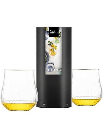 Eisch 2er Set Allroundbecher Rising 400 ml in platin