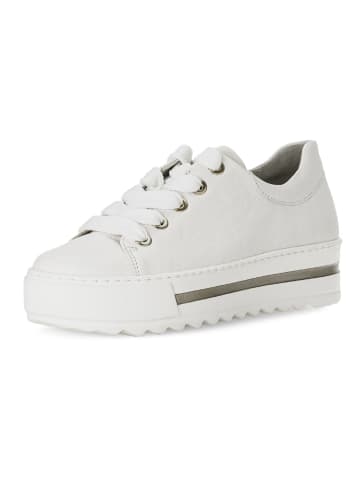 Gabor Sneaker in Latte