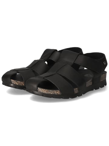 PANAMA JACK Sandalen STANLEY in Schwarz