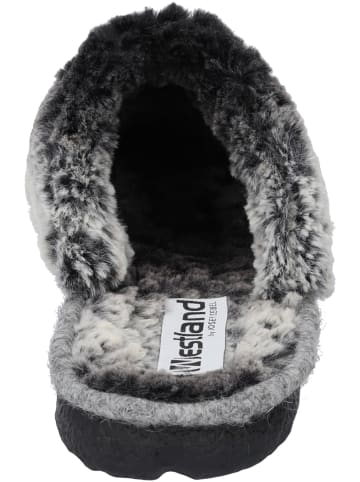 WESTLAND für in grau