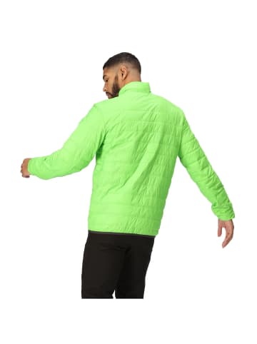 Regatta Steppjacke Hillpack in Grün