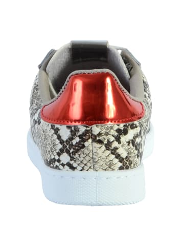 Victoria Turnschuhe Beige