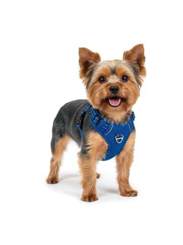 Reichstadt Reichstadt  Hundegeschirr  25RSP083 Blue S