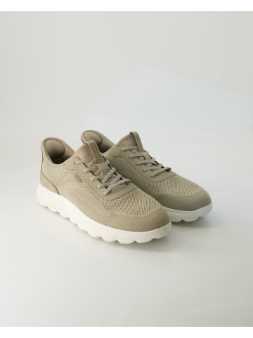 Geox Sneaker low in Beige