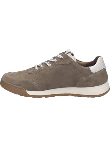 Josef Seibel Sneaker Blake 03 in beige