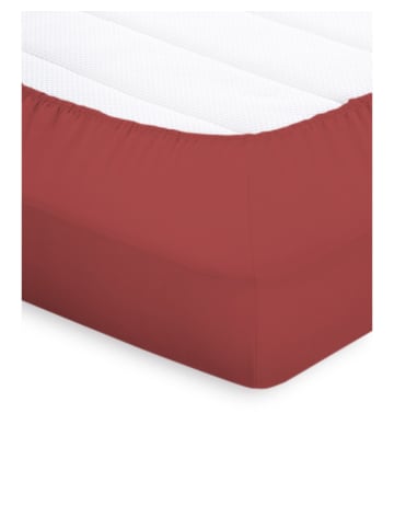 Bassetti Spannbettlaken Topper in rosso siena