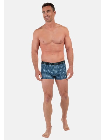 HOM Retro Short / Pant Marco in Mehrfarbig