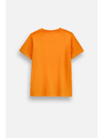 Coccodrillo Baumwoll-T-Shirt mit kurzen Ärmeln Halloween in orange