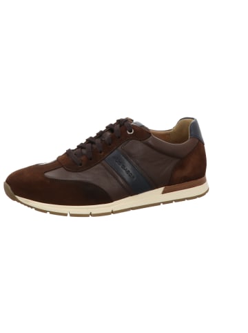 Pius Gabor Sneaker in braun