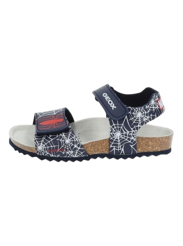 Geox Sandalen in Navy/Rot