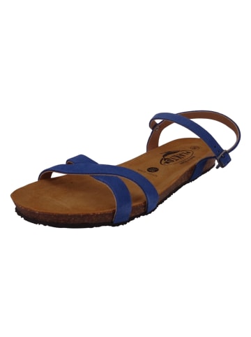 Plakton Sandalen blau