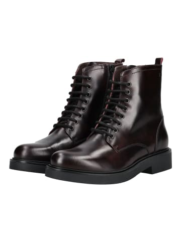 Nero Giardini Stiefelette in Braun