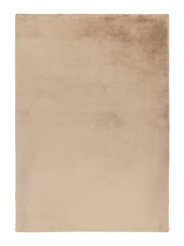 Teppich Boss Kurzflor Teppich Emanuel 525 Beige - Beige