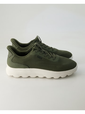 Geox Slip On Sneaker in Grün