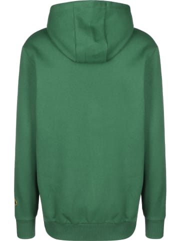 Puma Kapuzenpullover in vine