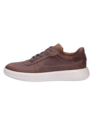 Ecco Sneaker MOVE M in braun