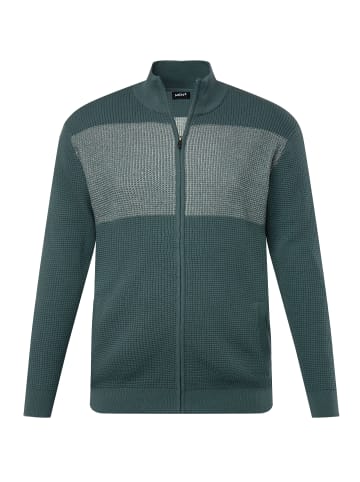 Men Plus Strickjacke in aschtürkis