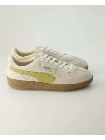 Puma Fitnessschuhe in Beige