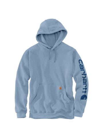 CARHARTT  Kapuzensweatshirt in hellblau