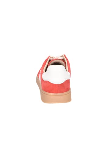 Gant Schnürschuh in rot