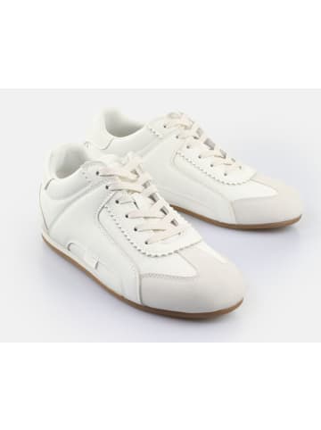Buffalo Sneaker Varsity in Weiß/Creme