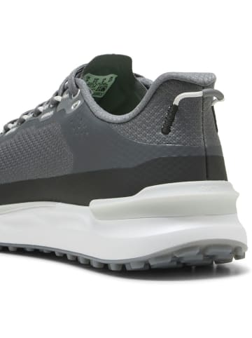 Puma Sneaker "IGNITE Elevate X" in Grau