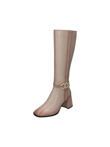 TT. BAGATT Langschaftstiefel in beige