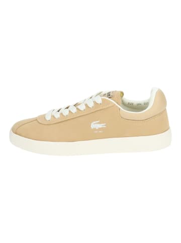 Lacoste Sneaker Braun/Weiß