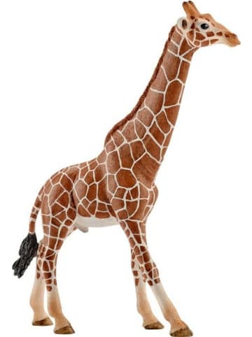 Schleich Giraffenbulle in Mehrfarbig ab 3 Jahre