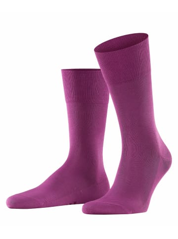 Falke Socken Tiago in Galaxy pur