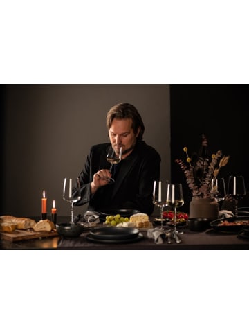 Zwiesel Glas 6er Set Bordeaux Weißwein Champagner Gläser Journey in transparent