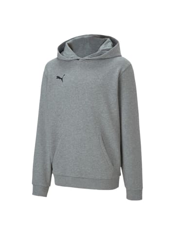 Puma Sweatshirt teamGOAL 23 Casuals Hoody Jr in grau