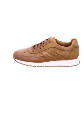 LLOYD Sneaker für Herren in camel