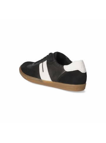 Paul Green Low Sneaker in Schwarz