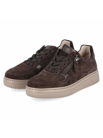 Gabor Low Sneaker in braun