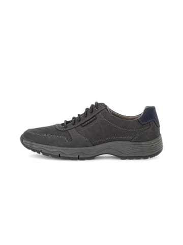 Pius Gabor Schnürschuhe in grau