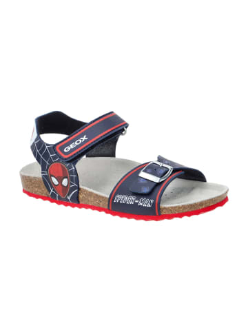 Geox Sandalen in Blau