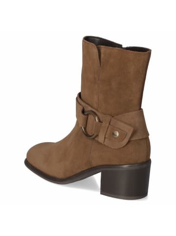 Gabor Stiefeletten in braun