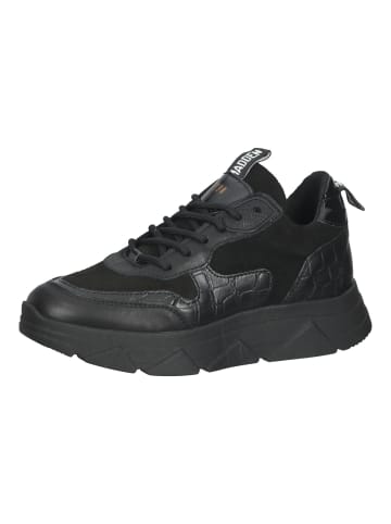 Steve Madden Sneaker in Schwarz